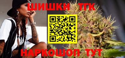 гидропоника Будённовск