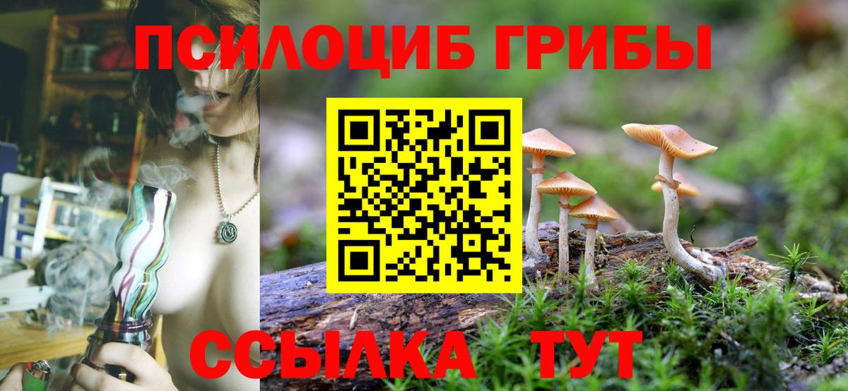 Псилоцибиновые грибы Psilocybe  где продают   Находка  Галлюциногенные грибы ЛСД  Вход с VPN 