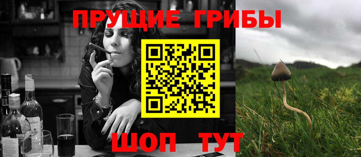 Галлюциногенные грибы Cubensis Находка