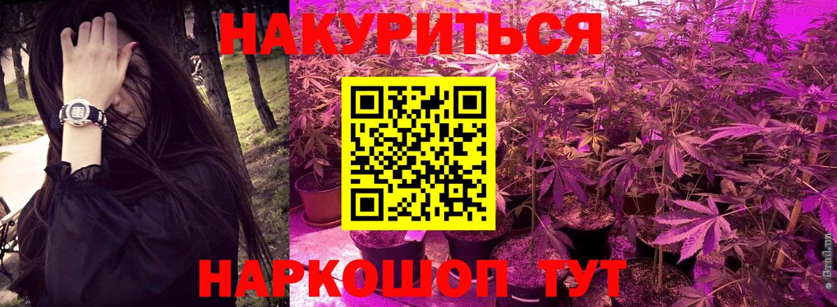 Конопля гибрид  Вход с VPN  Шишки марихуана Bruce Banner  Бошки Шишки Amnesia  Находка 